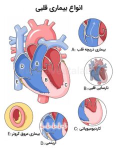چه عواملی خطر ابتلا به بیماری قلبی را افزایش میدهند؟