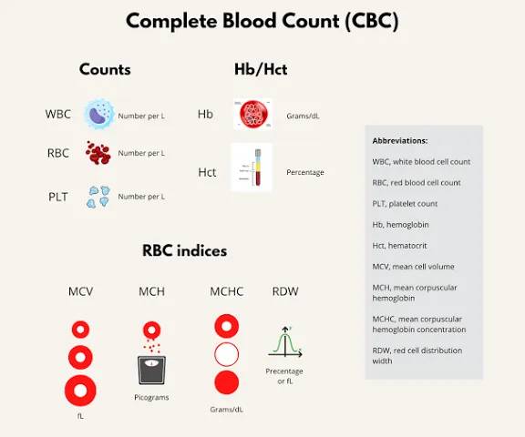 آزمایش CBC چیست و چه مواردی را بررسی میکند؟