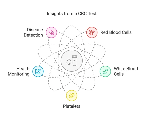 آزمایش CBC چیست و چه مواردی را بررسی میکند؟