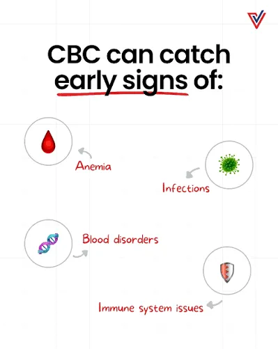 آزمایش CBC چیست و چه مواردی را بررسی میکند؟