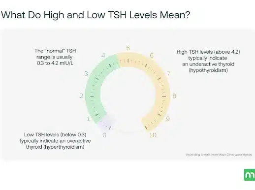 آزمایش TSH چیست و چه چیزی را بررسی میکند؟